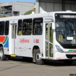 img 7575