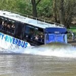 swimbus 21