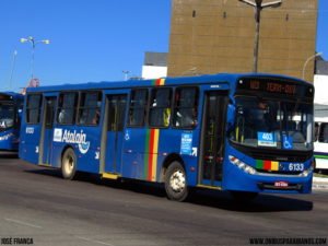 6133 IMG 0446