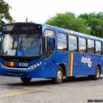 6138 IMG 1257 6