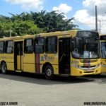 Saiba o porquê da diferenciação de cores nos ônibus do Grande Recife 4 2.010 RME