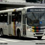 Saiba o porquê da diferenciação de cores nos ônibus do Grande Recife 5 254 CAX