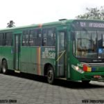Saiba o porquê da diferenciação de cores nos ônibus do Grande Recife 6 342 CAX