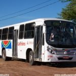 Transnacional em João Pessoa - Bodas de Pérola 54 100 7869