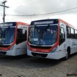 Transnacional entrega 10 ônibus novos para Campina Grande 9 3019