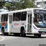Transnacional em João Pessoa - Bodas de Pérola 51 60FCD4BF 59F3 4EED 9A69 35F701539495