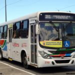 Transnacional em João Pessoa - Bodas de Pérola 53 DSC04643