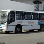 Transnacional em João Pessoa - Bodas de Pérola 43 DSC08355