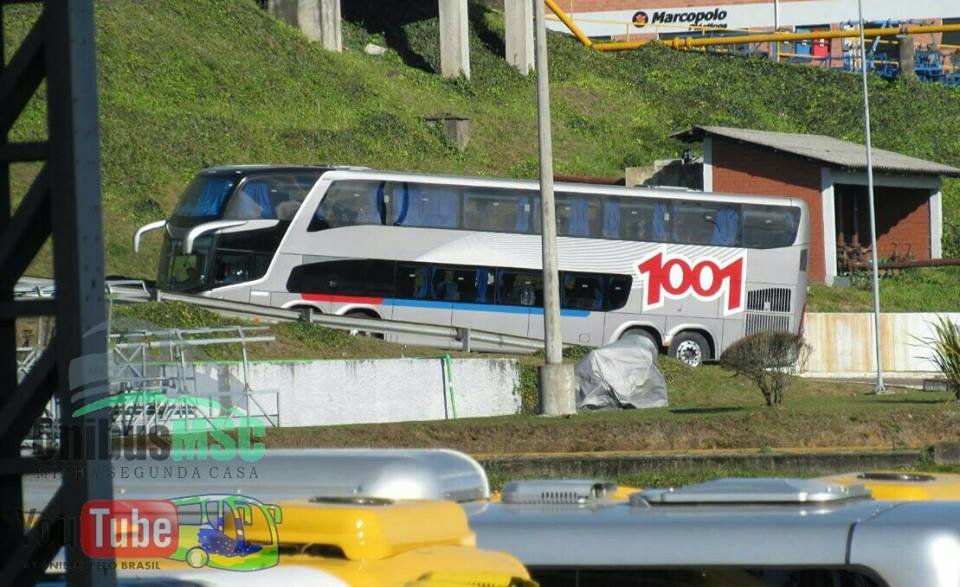 1001 p