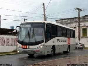 P1030981