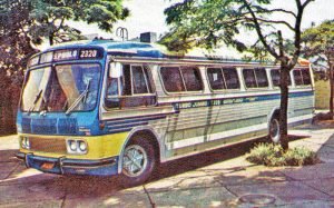 ciferal16