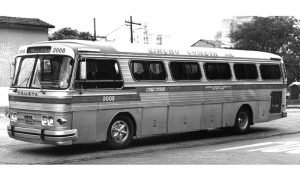 ciferal19