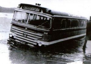 ciferal1f
