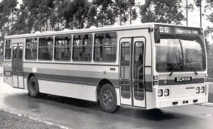 ciferal24