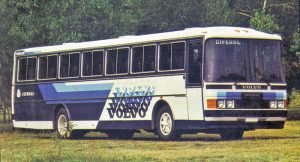ciferal29