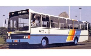 ciferal33