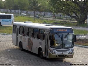 06004 Marcopolo Torino 2007 OF 1418 8