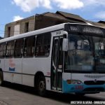 5306 Marcopolo Viale OF 1721 2