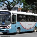 IMG 0799