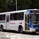 IMG 0882