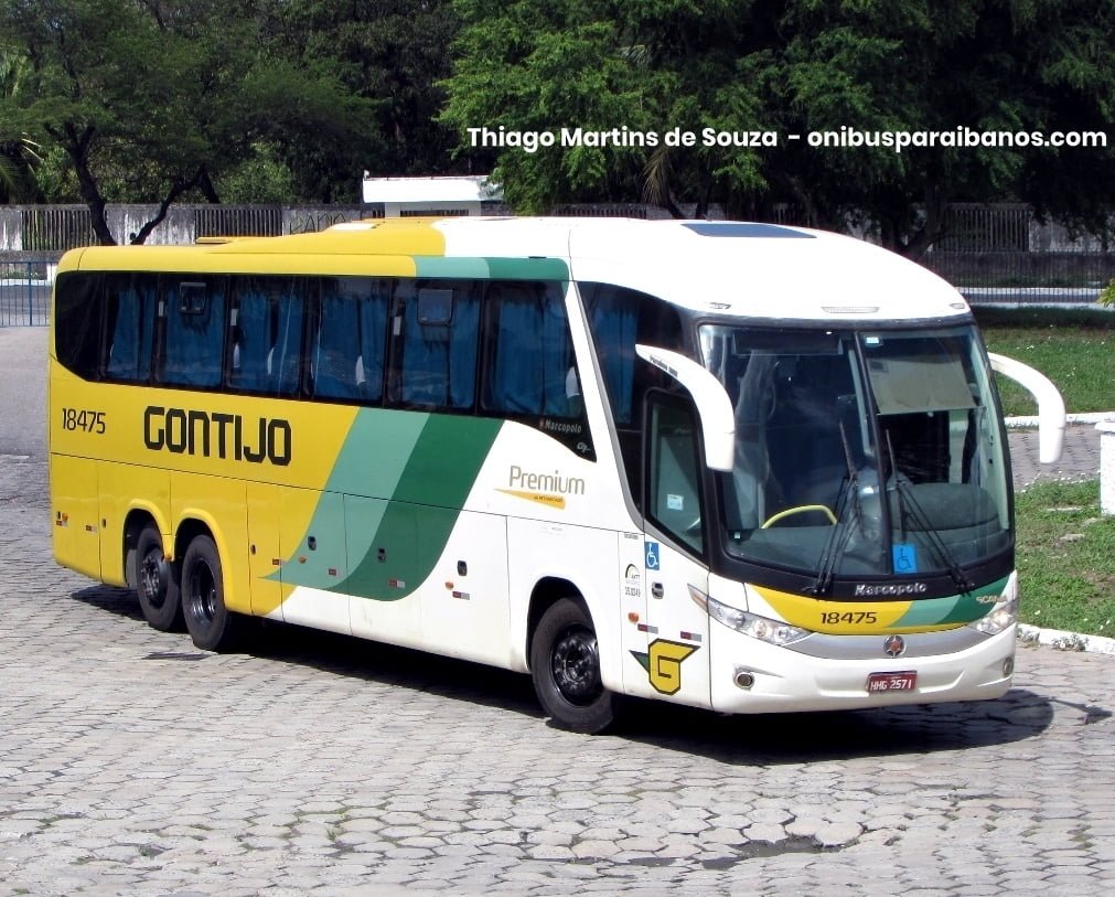 Gontijo 18475 1