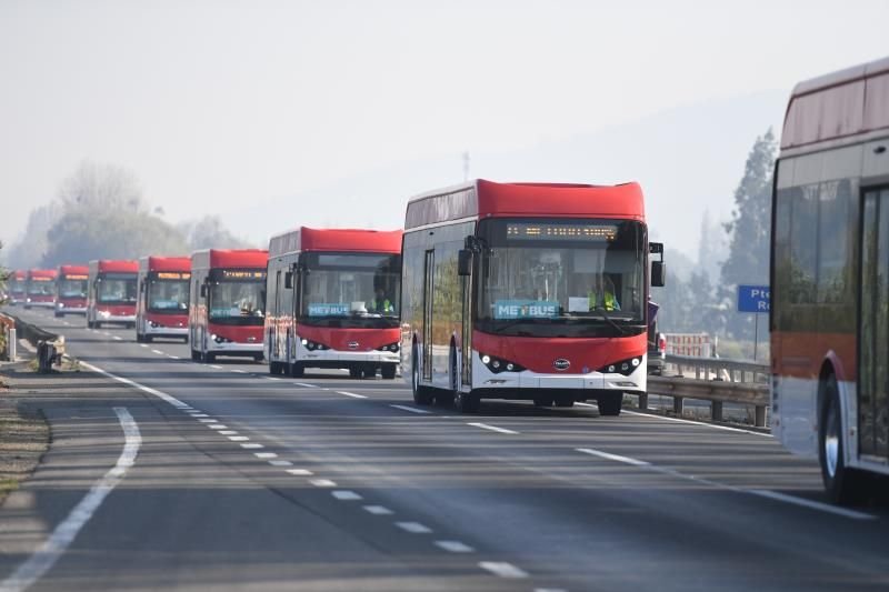 BYD chile15021