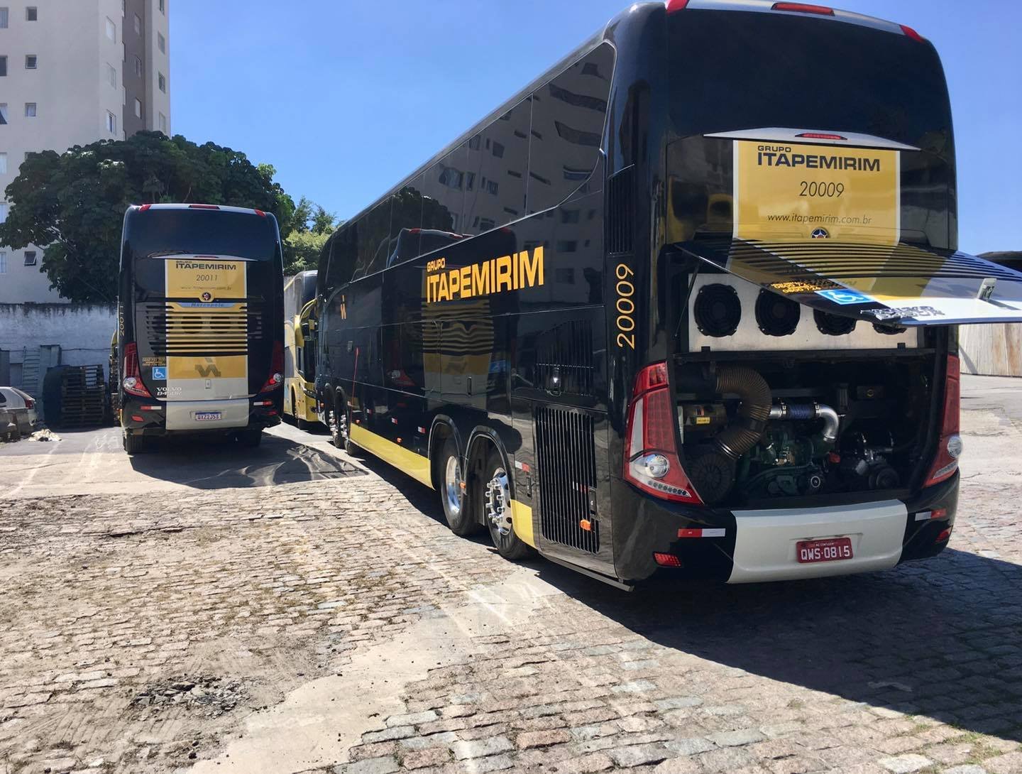 Um dia memorável para a nossa #Mirim 5 118614968 1524850274364273 3592941799029246646 o