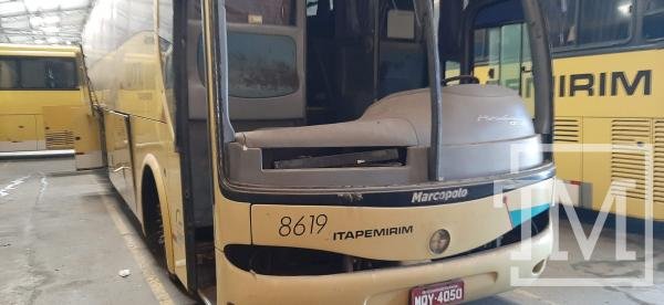8619
