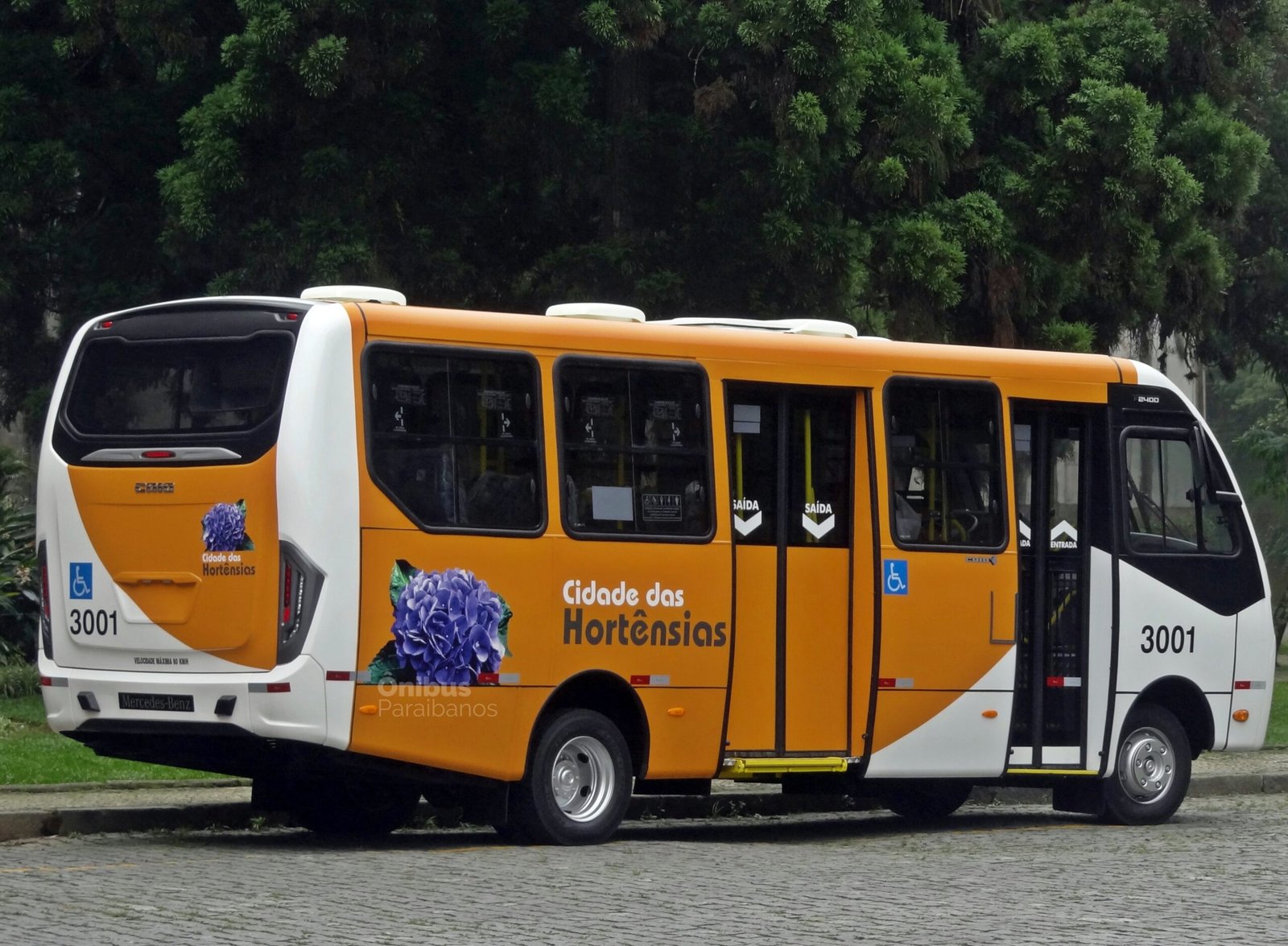 Cidade das Hortênsias renova a frota com micro-ônibus da Caio 3 DSC09733 scaled