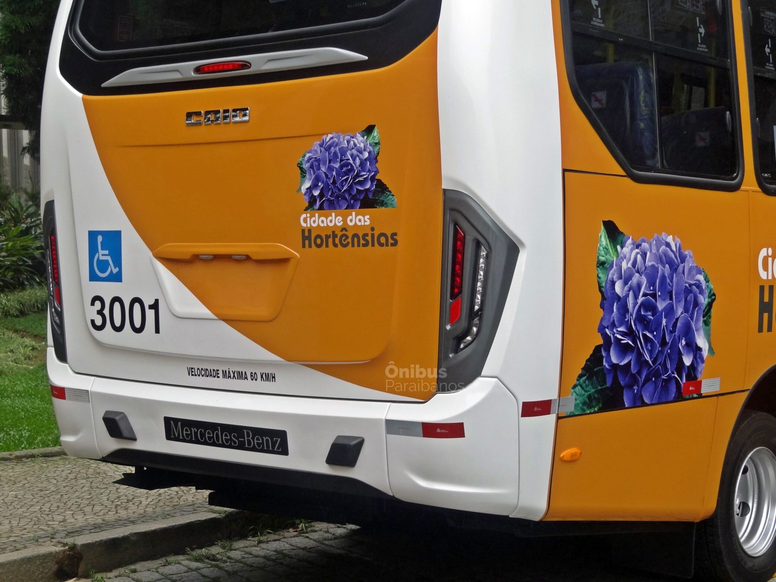 Cidade das Hortênsias renova a frota com micro-ônibus da Caio 8 DSC09734 scaled