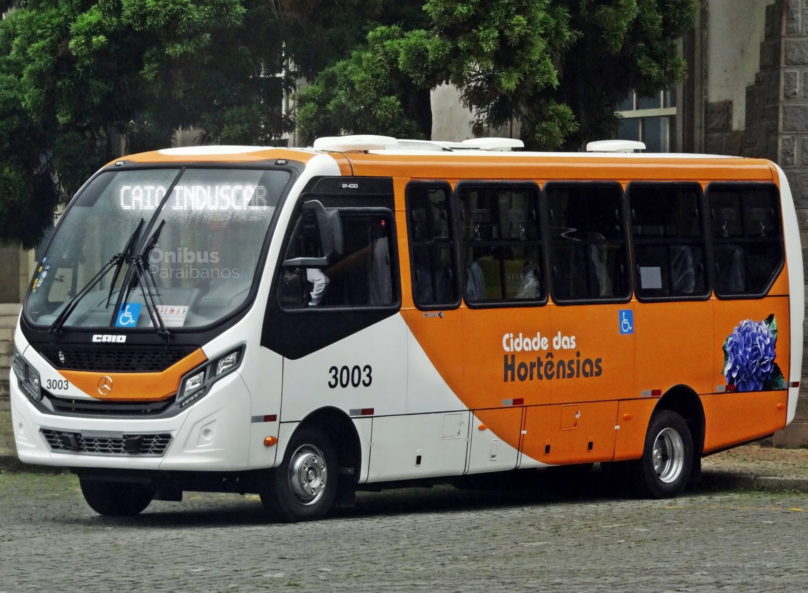Cidade das Hortênsias renova a frota com micro-ônibus da Caio 2 DSC09748 scaled