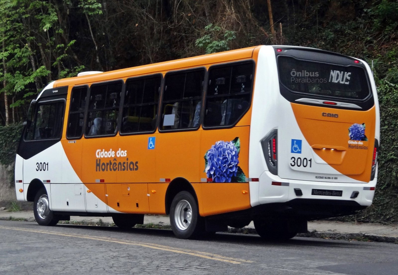 Cidade das Hortênsias renova a frota com micro-ônibus da Caio 1 DSC09769 scaled