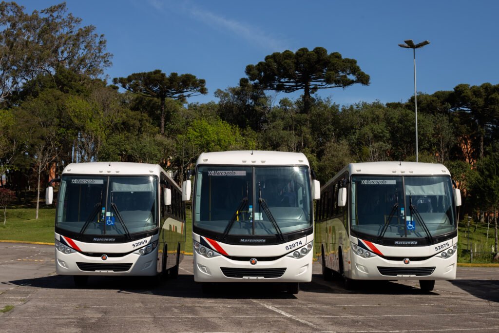 20201201 d6a58aa17f8a4526a34740994d8736c7 foto abre
