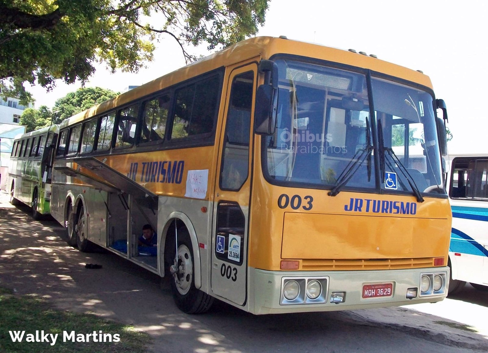 Tribus III JR