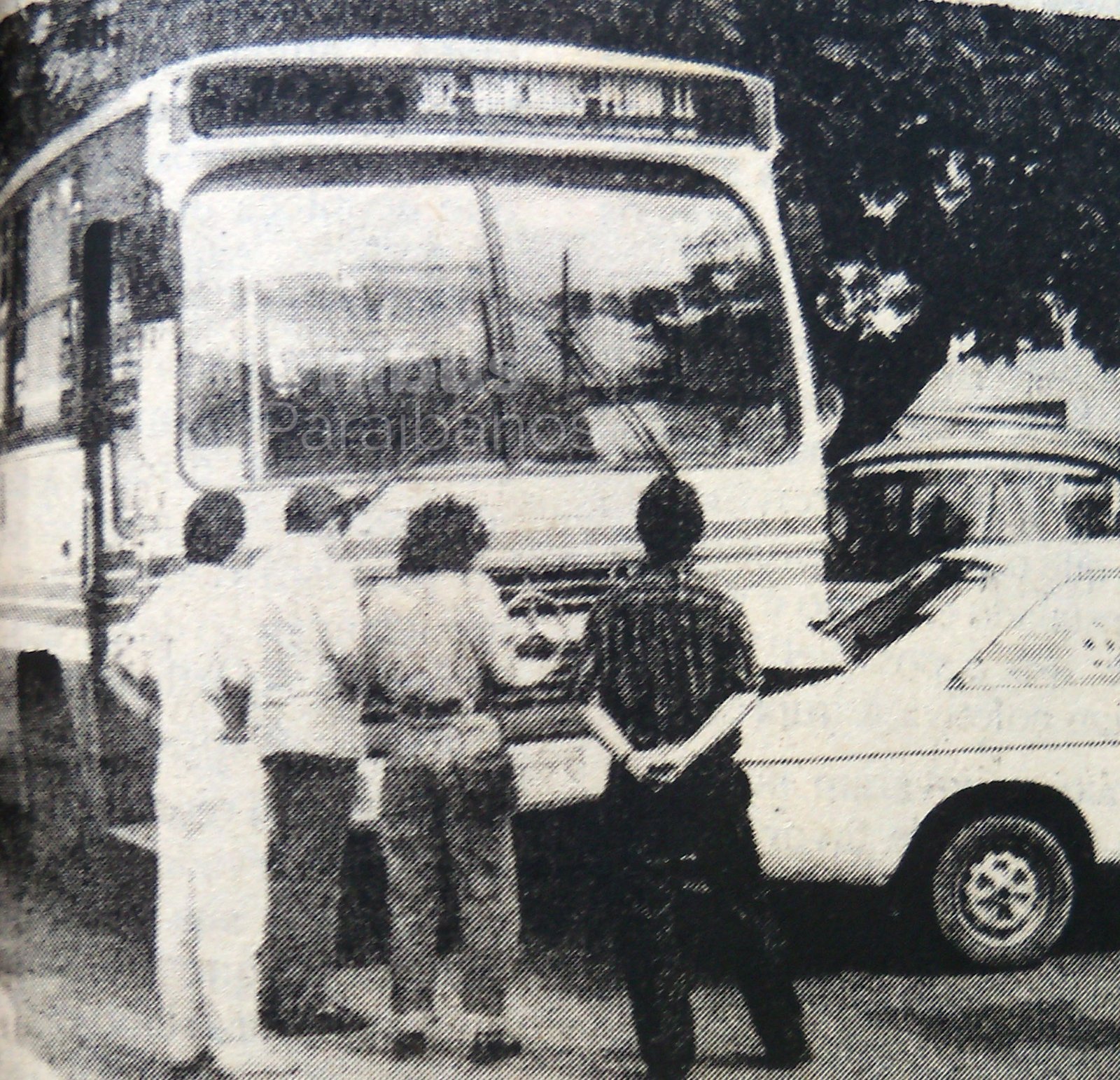 O Amélia na Transnacional 19 100 2738