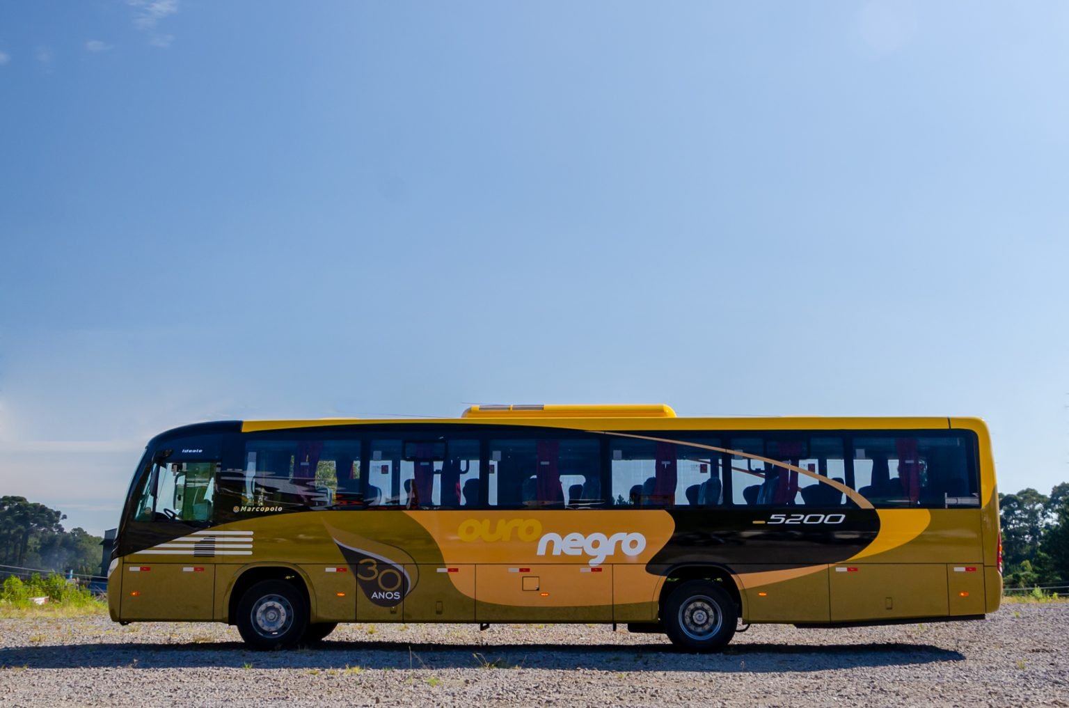 Ouro Negro Turismo completa 30 anos de atuação aumentando a frota; veja vídeo 2 Ideale 800 MBB Ouro Negro 12