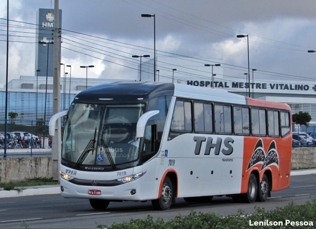 THS 1