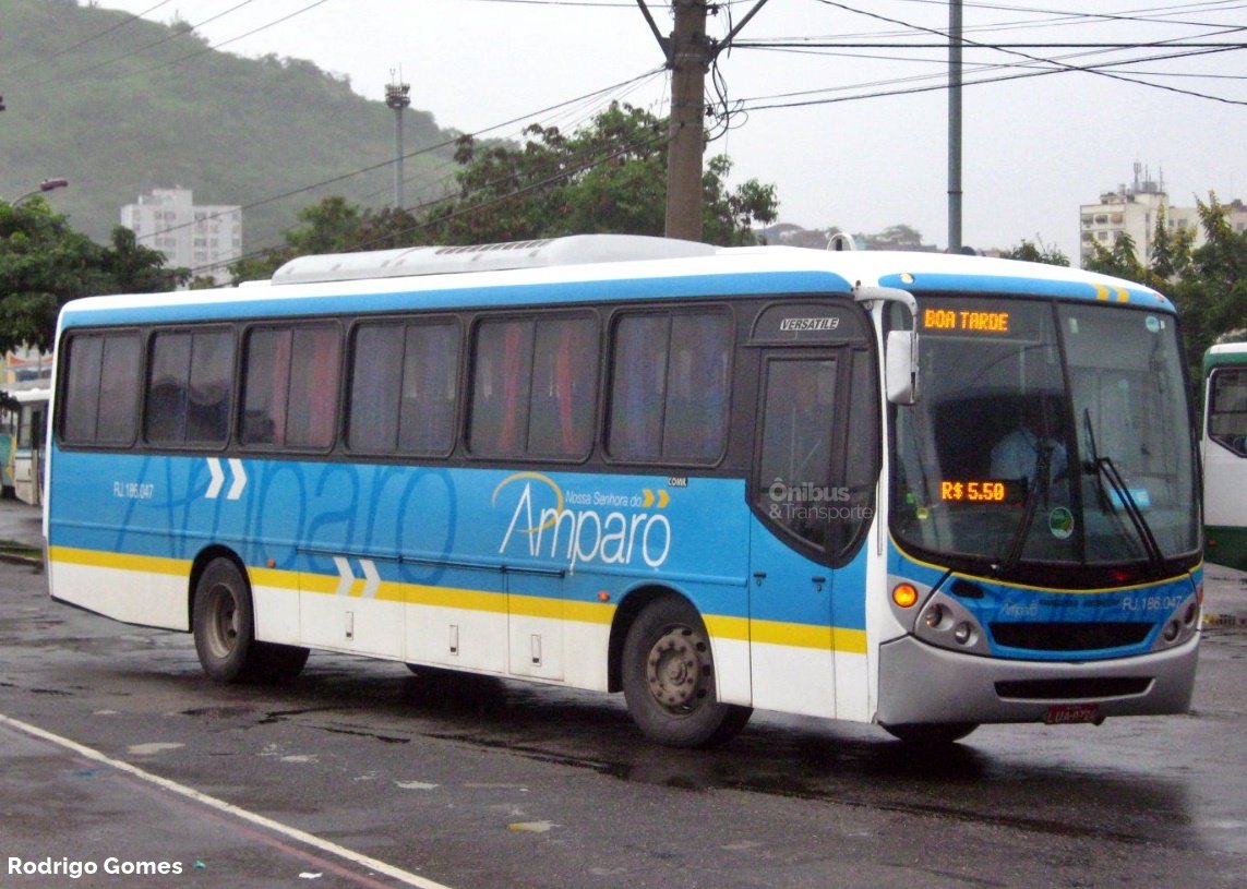Viação Nossa Senhora do Amparo começa a receber seus novos ônibus da Comil 7 WhatsApp Image 2021 11 13 at 21.47.09