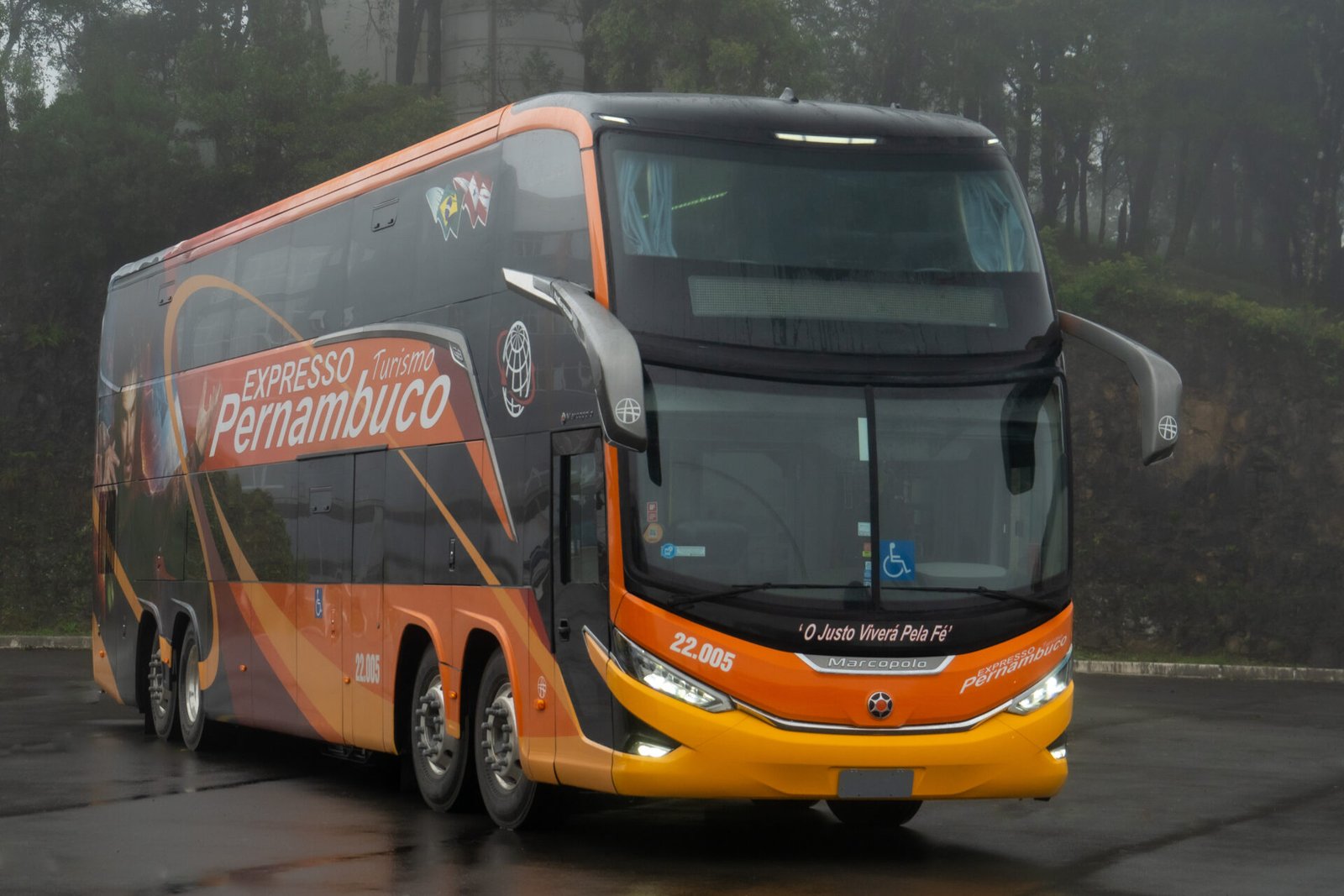 DCM07883