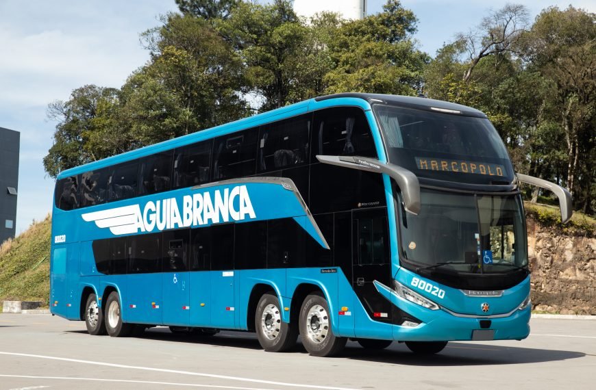Águia Branca