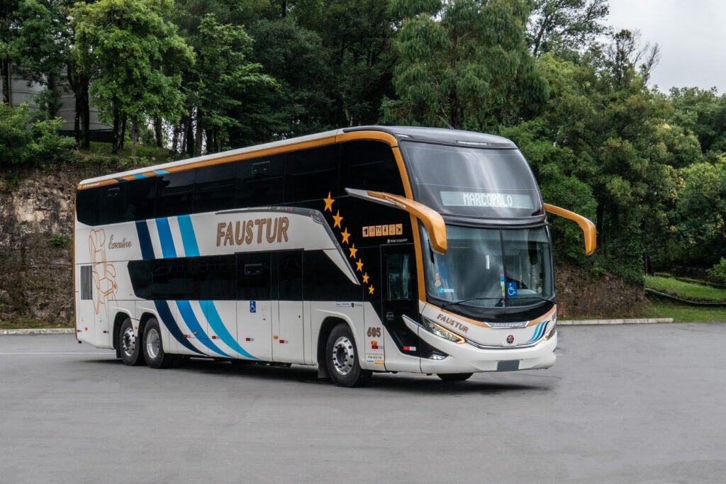 Faustur 81