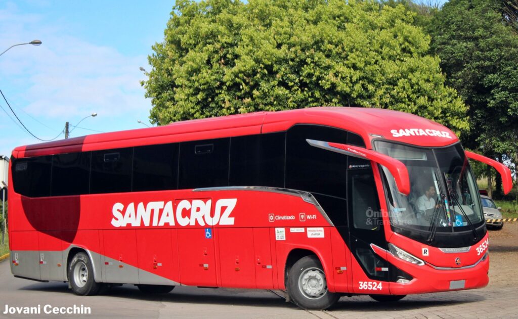 Santa Cruz 36524