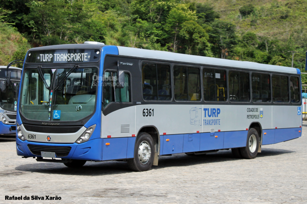Turp