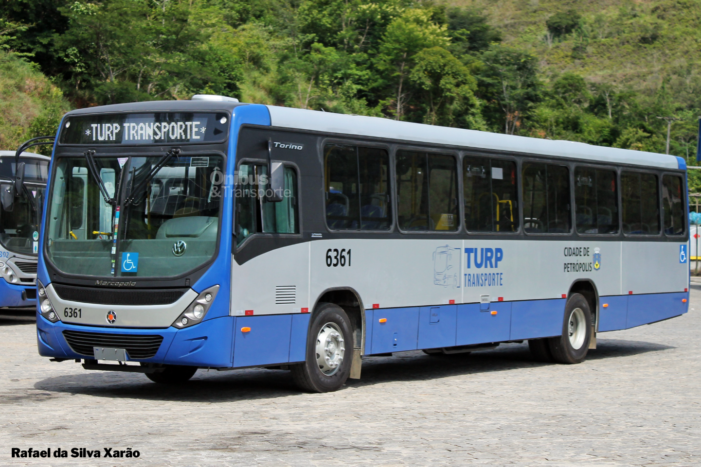 Turp