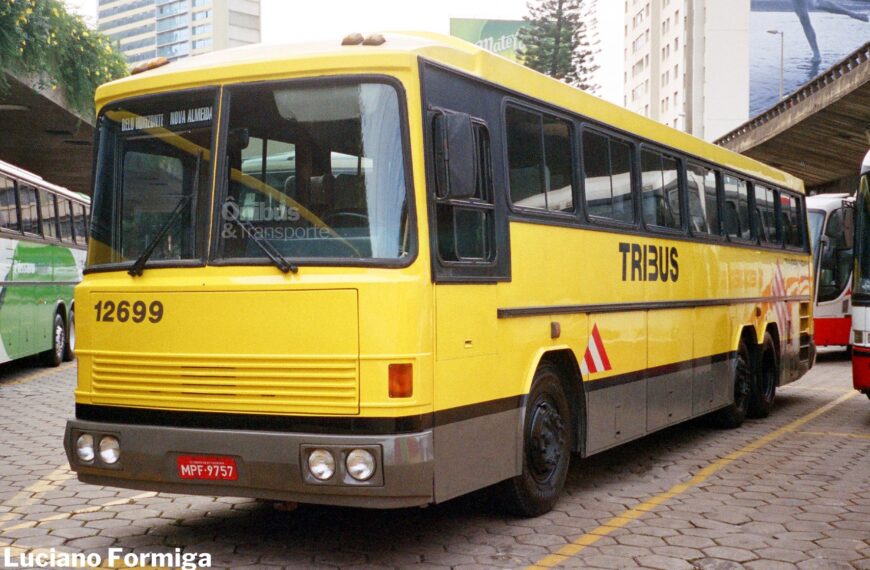 Ônibus da Itapemirim: Tribus 12699