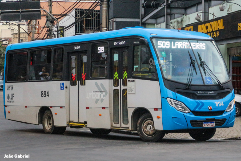 JUIZ DE FORA