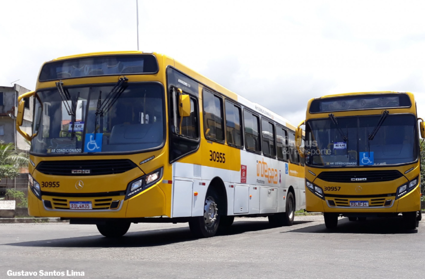 Queda de árvore na Avenida Anita Garibaldi causa desvios nas linhas de ônibus em Salvador (BA)