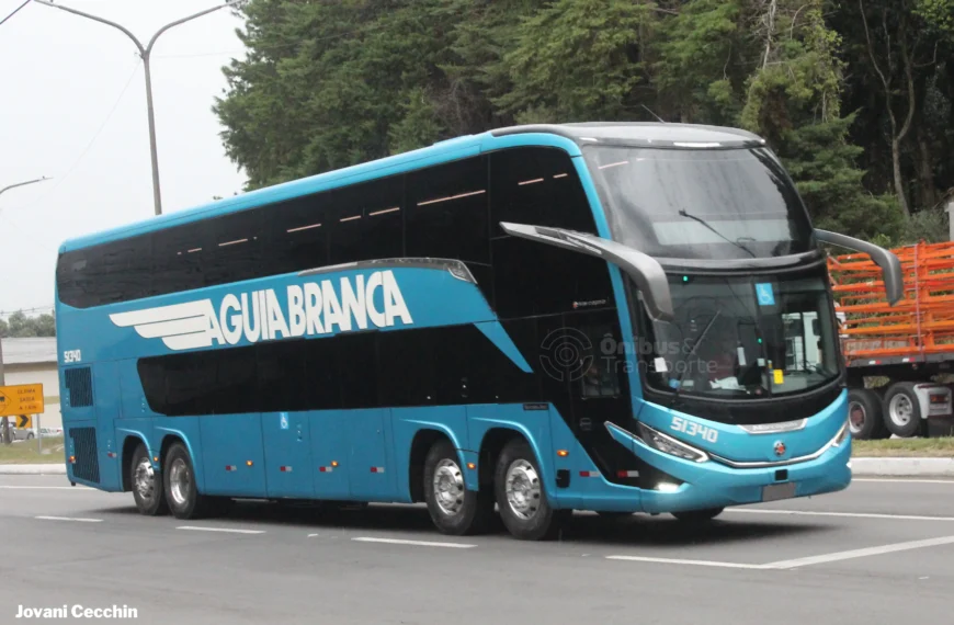Águia Branca