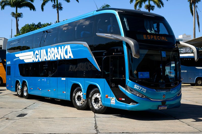 Águia Branca