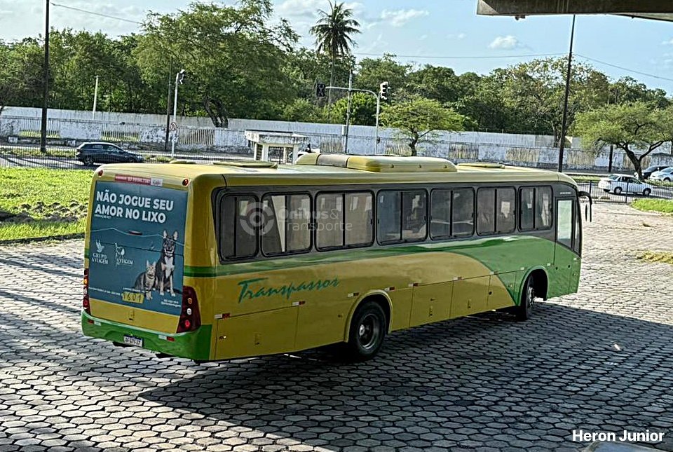 Transpassos amplia frota com Marcopolo Ideale para o transporte intermunicipal na Paraíba 1 Transpassos